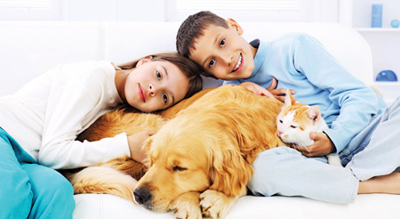 نگهداری از حیوانات خانگی,حیوانات خانگی و تاثیر آن در سلامت انسان