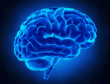 مغز,تاثیر پیری بر مغز, عملکرد مغز در زمان پیری