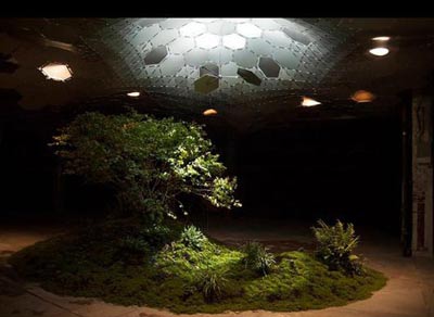 باغ‌های زیرزمینی,طراحی باغ‌های زیرزمینی