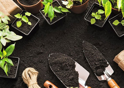 خاک مناسب گیاهان, خاک و کود مناسب گیاهان