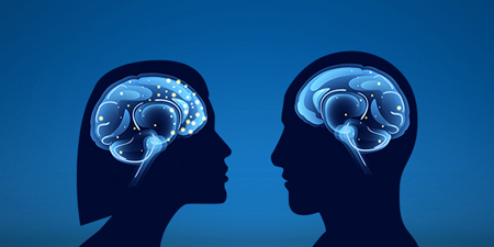 تفاوت مغز زنان و مردان,فعال بودن مغز زنان نسبت به مردان