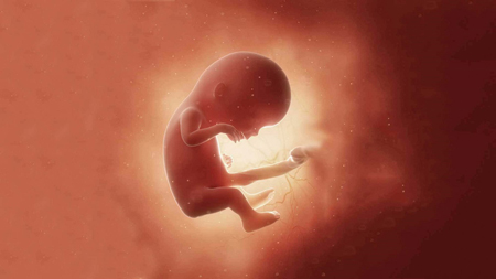 سقط جنین در ماه اول,روش سقط جنین در ماه اول,علائم سقط جنین در ماه اول