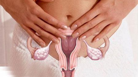 سرویکس چیست, طول سرویکس, اندازه طبیعی دهانه رحم در بارداری