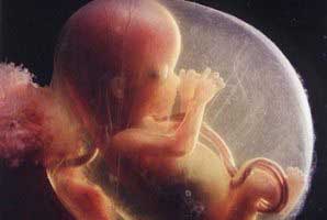 تعیین جنسیت جنین,تعیین جنسیت جنین قبل از بارداری,تعیین جنسیت جنین در دوران بارداری